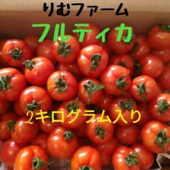 長崎県五島列島産中玉トマト(フルティカ)約2㎏入りのサムネイル