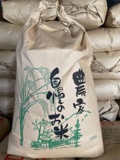 2025年収穫 コシヒカリ20kg 玄米 三重県産生産者直送お米 健康食腸活