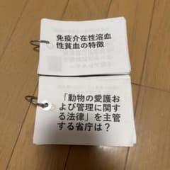 雪*豹様 愛玩動物看護師 国家試験対策 暗記カードのサムネイル