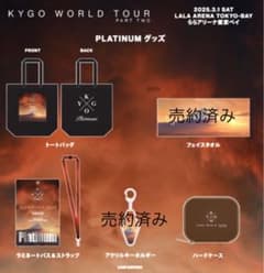【非売品・新品未使用】KYGO WORLD TOUR PLATINUM席　グッズのサムネイル