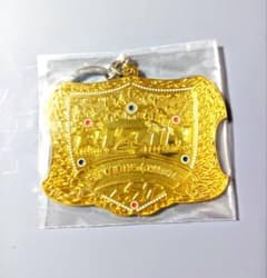 RIZIN 라이진 챔피언 벨트 메탈 매력 헤비급