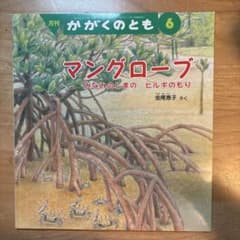 【値下げ】月刊かがくのとも　マングローブ　みなみのしまのヒルギのもりのサムネイル