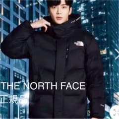 THE NORTH FACE  ノースフェースFREE MOVE DOWNのサムネイル