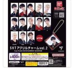 SVT 아크릴 매력 vol.2
