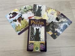 Tarot of Pagan Cats 78枚セットのサムネイル