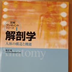 解剖学 : 人体の構造と機能のサムネイル
