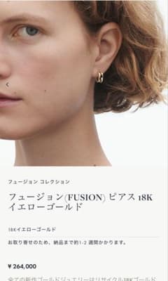 希少 ジョージ ジェンセン TORUN 145 POD ピアス 片耳 廃盤 ジョージジェンセン フュージョン ピアス 片耳のみ K18 - メルカリ