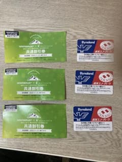 高鷲スノーパーク&ダイナランドの１日リフト券とクーポン券のサムネイル