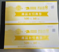 ラスト】阪神甲子園球場60,000円分2025年商品お引換券500円分120枚 