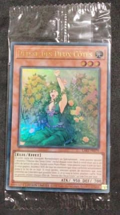 遊戯王 気まぐれの女神 ウルトラ 未開封 初期 限定 LART-FR079 - メルカリ