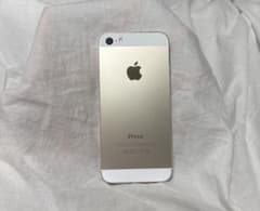 Apple iPhone 5S (main unit)