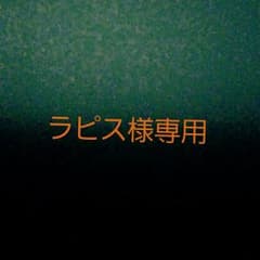 ラピス様専用のサムネイル