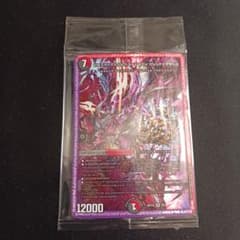 禁断の轟速 ブラックゾーン シク シークレット 秘 神アート 新品未開封 