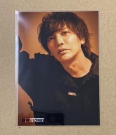 浅沼晋太郎 ブロマイド 王様ジャングル25 - メルカリ