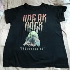お値下げ！ONE OK ROCK ツアーTシャツのサムネイル