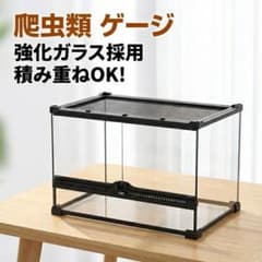 爬虫類ケージ50cmガラス製前面開閉テラリウム水槽飼育ケース爬虫類両生類トカゲ m17046522593_1.jpg?1770620515