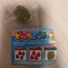 超リアルミニチュアトロピカルフルーツのサムネイル