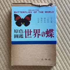 原色図鑑 世界の蝶 古書 昭和47年 四版発行 - メルカリ
