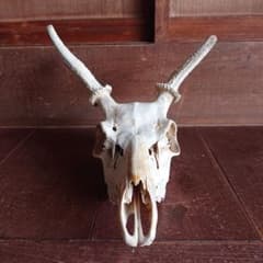 m17056087924_1.jpg?1698936761