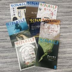 月刊たくさんのふしぎ 7冊セット 2024年 - メルカリ