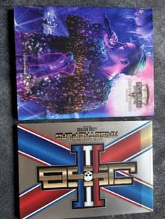 登坂広臣 RAISE THE FLAG ライブフォトブック 2冊セットのサムネイル