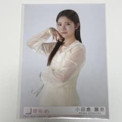 m17070067239_1.jpg?1745800764