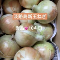 淡路島新玉ねぎ★甘くて柔らか★みずみずしい★10キロ ★秀品★採れたてのサムネイル