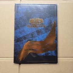 유희왕 OCG 듀얼리스트 카드 파일 우키요에 2권 세트입니다.