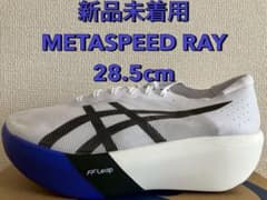 【完売サイズ】アシックス メタスピードレイ METASPEED RAY 28.5のサムネイル
