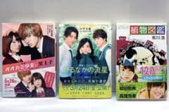 小説セット ひるなかの流星/オオカミ少女と黒王子/ひるなかの流星 映画ノベライズのサムネイル