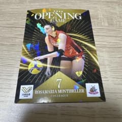 デンソーエアリービーズ ロザマリア選手 カードのサムネイル