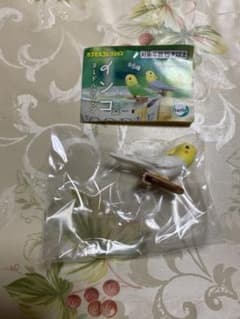 インコヌードルクリップ　２個セットのサムネイル