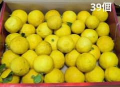 柚子　無農薬　39個のサムネイル