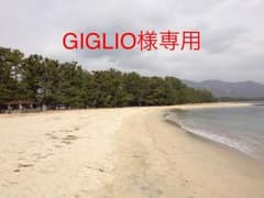 GIGLIOさま専用です。他の方は購入しないでください。のサムネイル