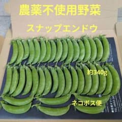 농약 미사용 야채 스냅 완두 약 340g 고양이 포스 편