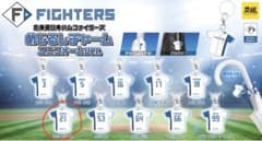北海道日本ハムファイターズ 清宮幸太郎 めじるしチャームのサムネイル
