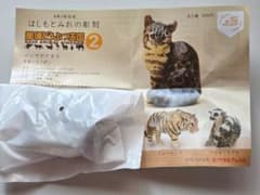新品・未開封【ツシマヤマネコ】はしもとみおの彫刻 - 2