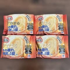 温泡 デカまる エナジージンジャー 4個セット