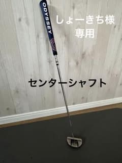 【しょーきち様専用】テーラーメイド パター TPi-29 センターシャフトのサムネイル