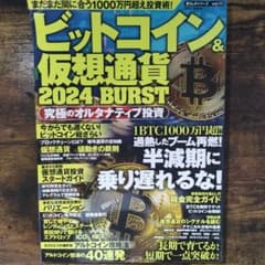 ビットコイン&仮想通貨 2024 BURSTのサムネイル