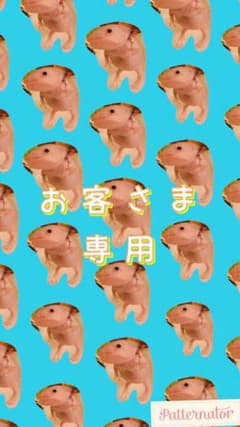 まこ様専用のサムネイル