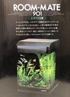 新品未使用品！インテリア水槽 ニッソー ルームメイト901 NISSO - メルカリ