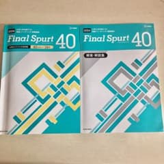 Final Spurt 40 2024年度版 解答・解説集付き - メルカリ