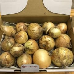 訳あり　プチサイズ　淡路島産玉ねぎ　約1kg いのサムネイル