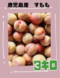 과육까지 새빨갛게! 스모모 3kg