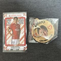 柴戸海　浦和レッズ