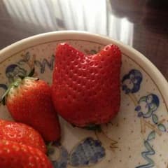 Radymamaさん専用のサムネイル