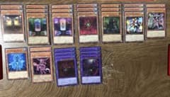遊戯王　ミュートリア フォーチュンレディ　デッキのサムネイル