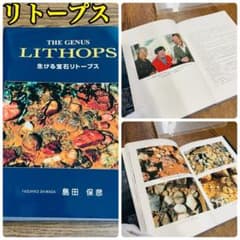 【入手困難】【絶版】　生ける宝石リトープス　著者：島田保彦のサムネイル