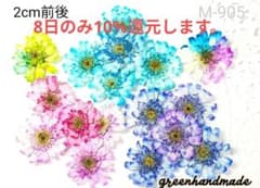 ハンドメイド　花材　ドライフラワー　マトリカリア　mixカラー 20輪+α ハンドメイド 花材 ドライフラワー マトリカリア mixカラー 50輪＋α ③